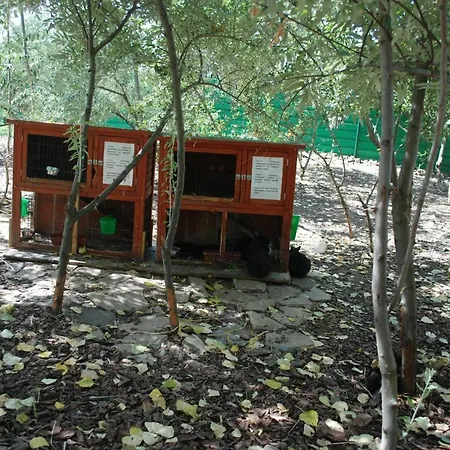 Apartment тwo Bedroom Children Friendly *